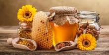Croissance des exportations de miel ukrainien : nouvelles opportunités sur le marché international